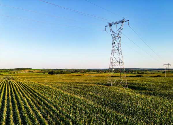 State government makes historic changes in agricultural electricity connection rules Co owners consent is no longer mandatory for electricity connection