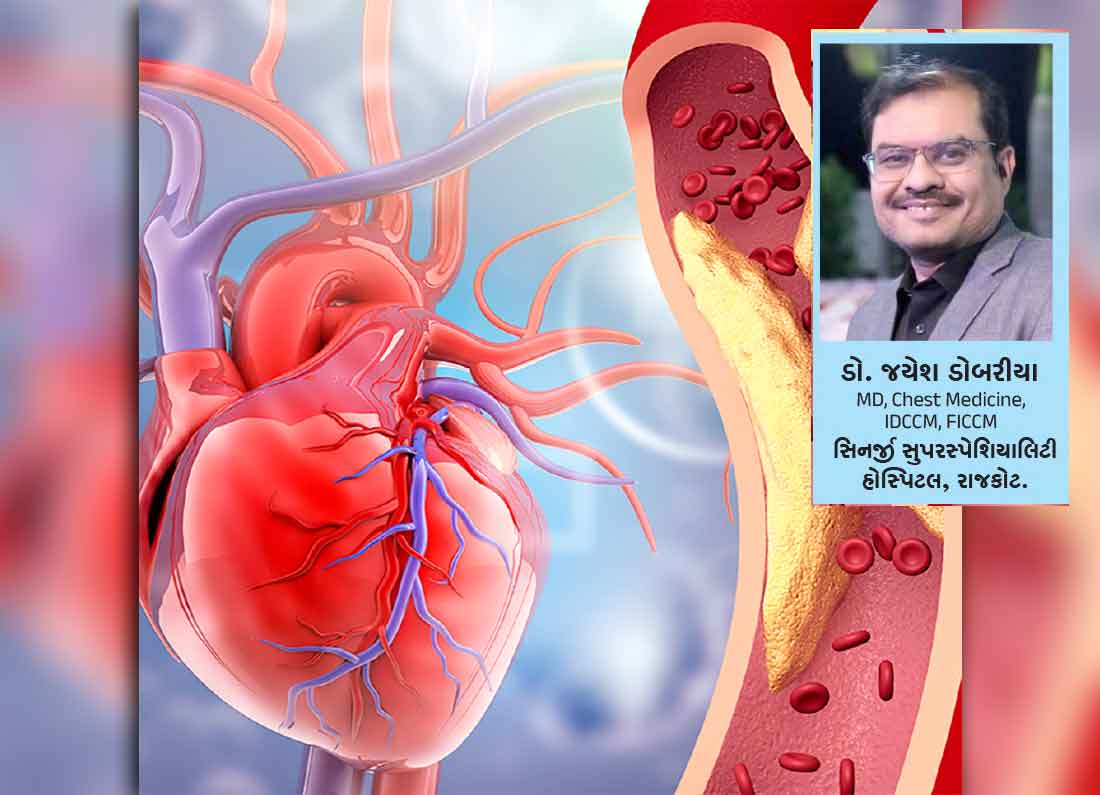 બેડ કોલેસ્ટેરોલ (LDL) ઘટાડવા શું ખાવું? જાણો નિષ્ણાતોની સલાહ 19 1 5